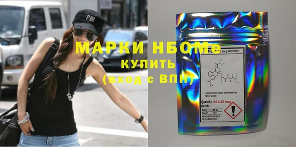 шишки Няндома