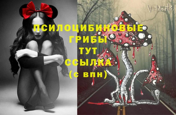 дмт Новодвинск