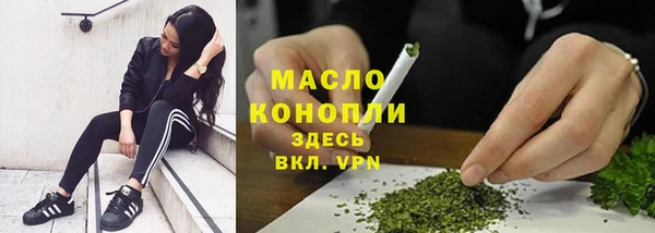 дмт Новодвинск