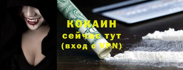 прущие грибы Новокубанск