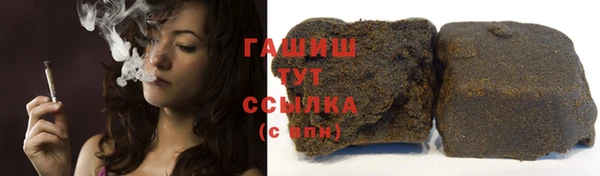 шишки Няндома