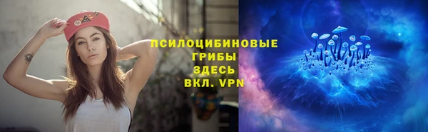 прущие грибы Новокубанск