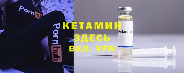дмт Новодвинск