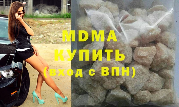 шишки Няндома