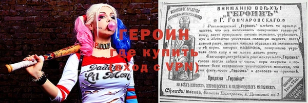 шишки Няндома