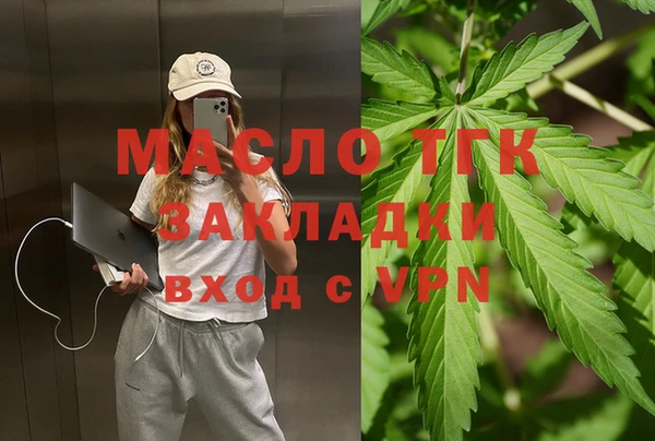 дмт Новодвинск