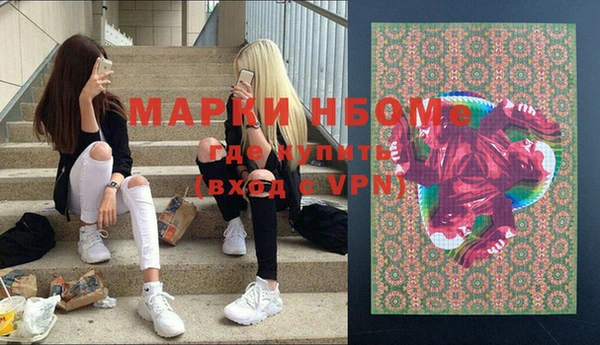 прущие грибы Новокубанск