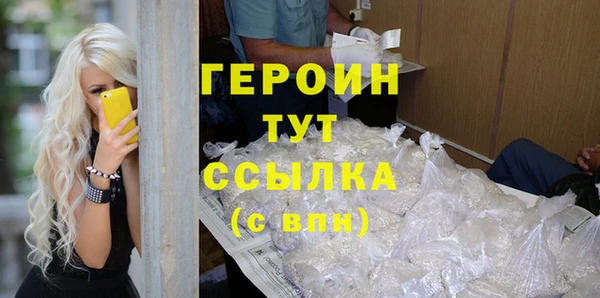 шишки Няндома