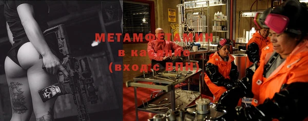 шишки Няндома