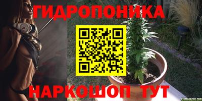 ПСИЛОЦИБИНОВЫЕ ГРИБЫ Берёзовский