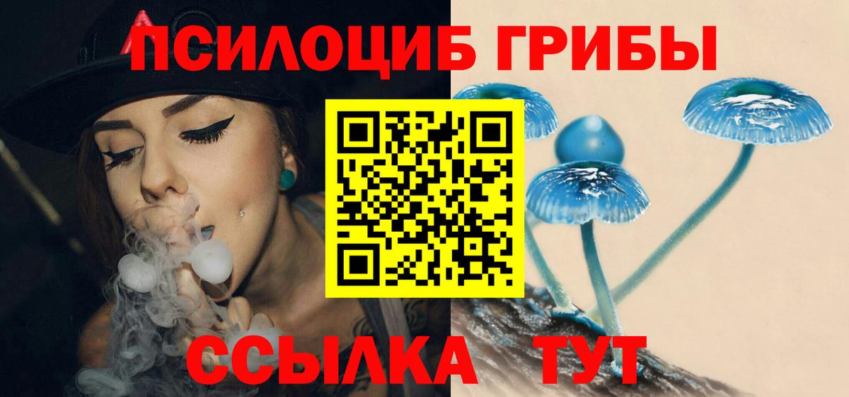 Псилоцибиновые грибы Истра