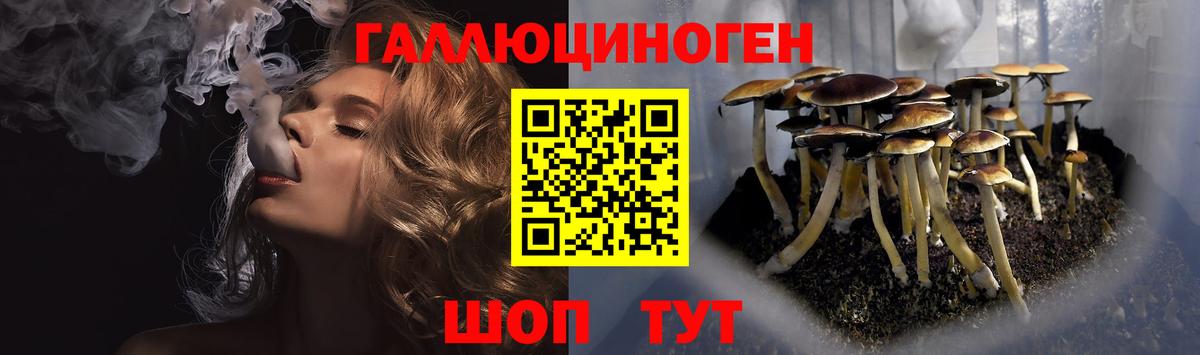 Галлюциногенные грибы MAGIC MUSHROOMS  Истра  Псилоцибиновые грибы MAGIC MUSHROOMS 